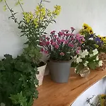 Casa rural Serra Pineta Serramazzoni