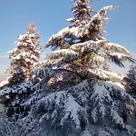 Serra Pineta