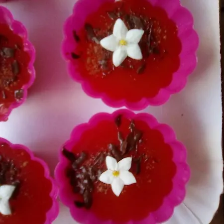 Serra Pineta Casa de Campo *