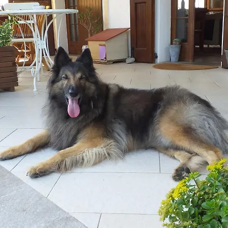 Casa de Campo Serra Pineta Serramazzoni