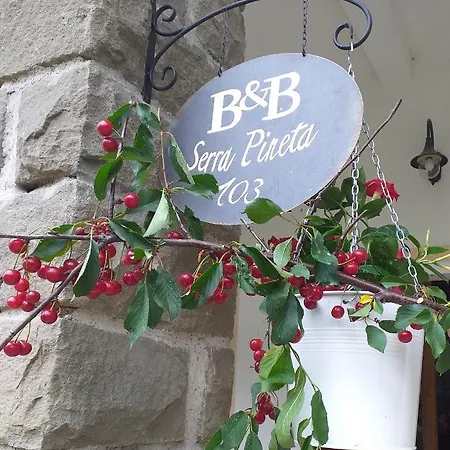 Serra Pineta Serramazzoni