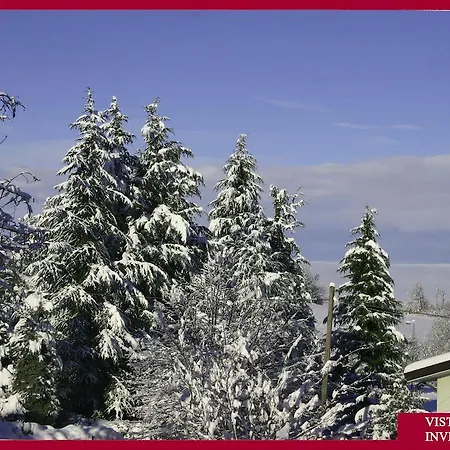 Serra Pineta 세라마쪼니