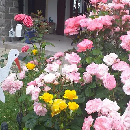 컨트리하우스 Serra Pineta 세라마쪼니