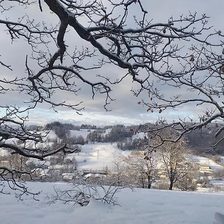 Serra Pineta Serramazzoni