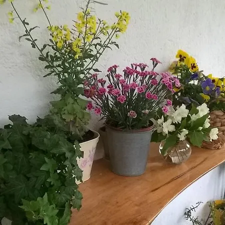 컨트리하우스 Serra Pineta 세라마쪼니