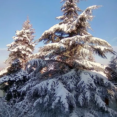 Serra Pineta