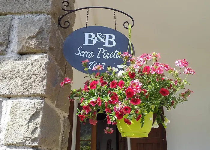 Serra Pineta Gospodarstwo wiejskie Serramazzoni