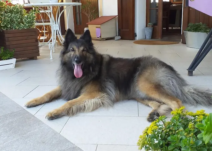 منزل ريفي Serra Pineta Serramazzoni