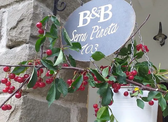 Serra Pineta Serramazzoni