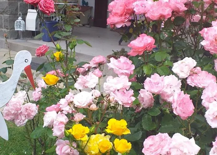 منزل ريفي Serra Pineta Serramazzoni