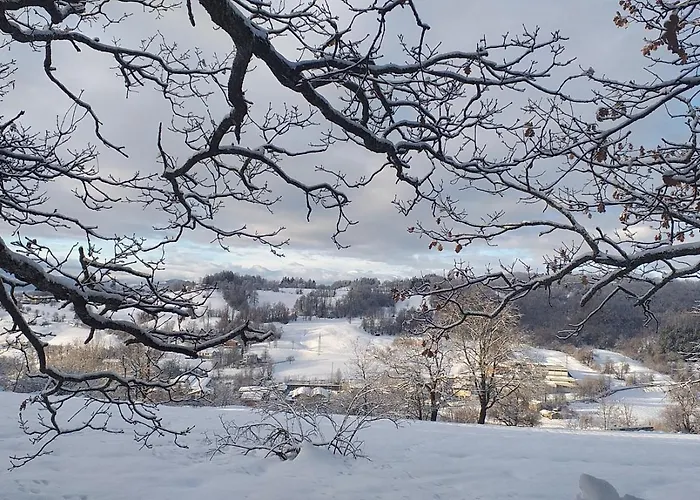 Serra Pineta Serramazzoni