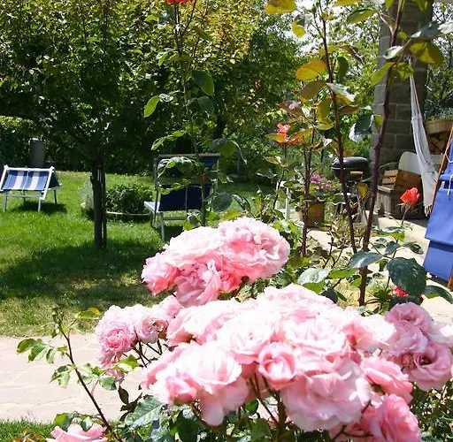 Serra Pineta منزل ريفي