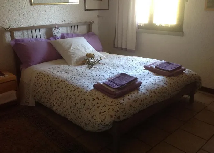 Gospodarstwo wiejskie Serra Pineta Serramazzoni