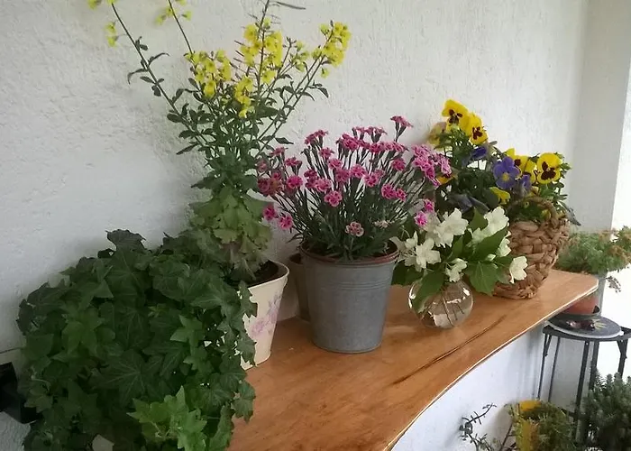 منزل ريفي Serra Pineta Serramazzoni